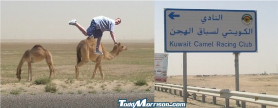 Camel racing.